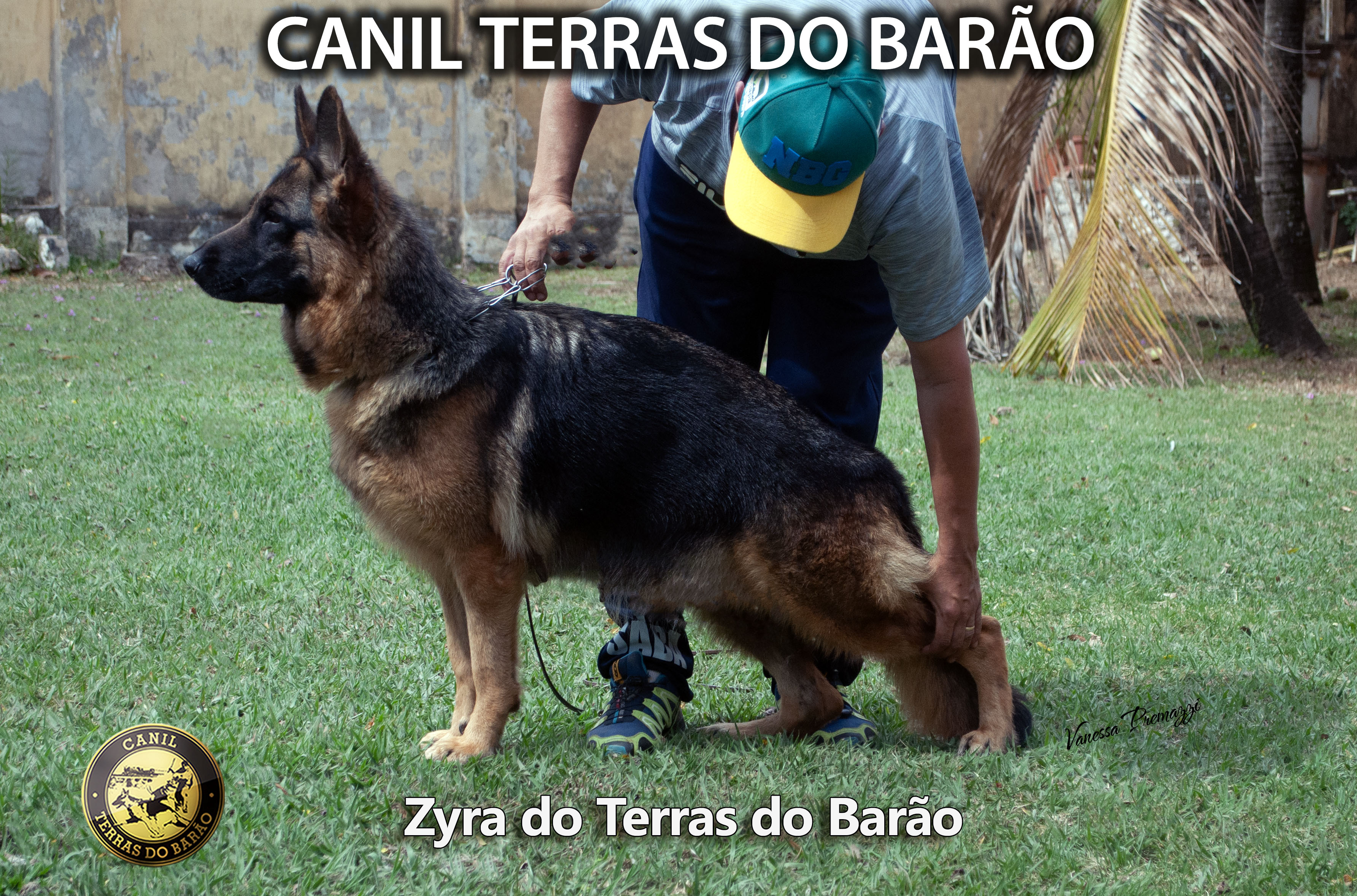 Zyra.jpg