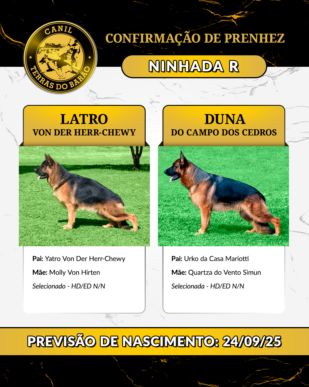 NINHADA_R.png