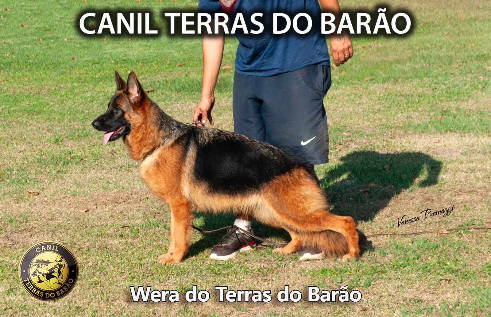 wera1.jpeg