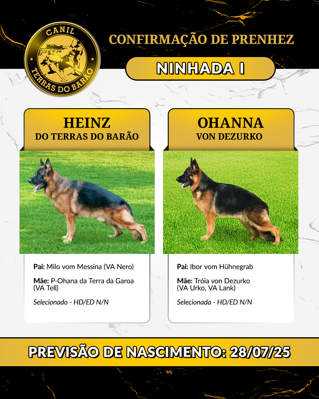 NINHADA_I.png