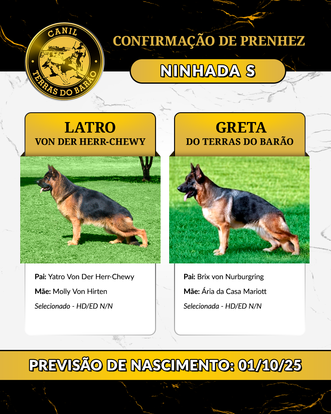 NINHADA_S.png