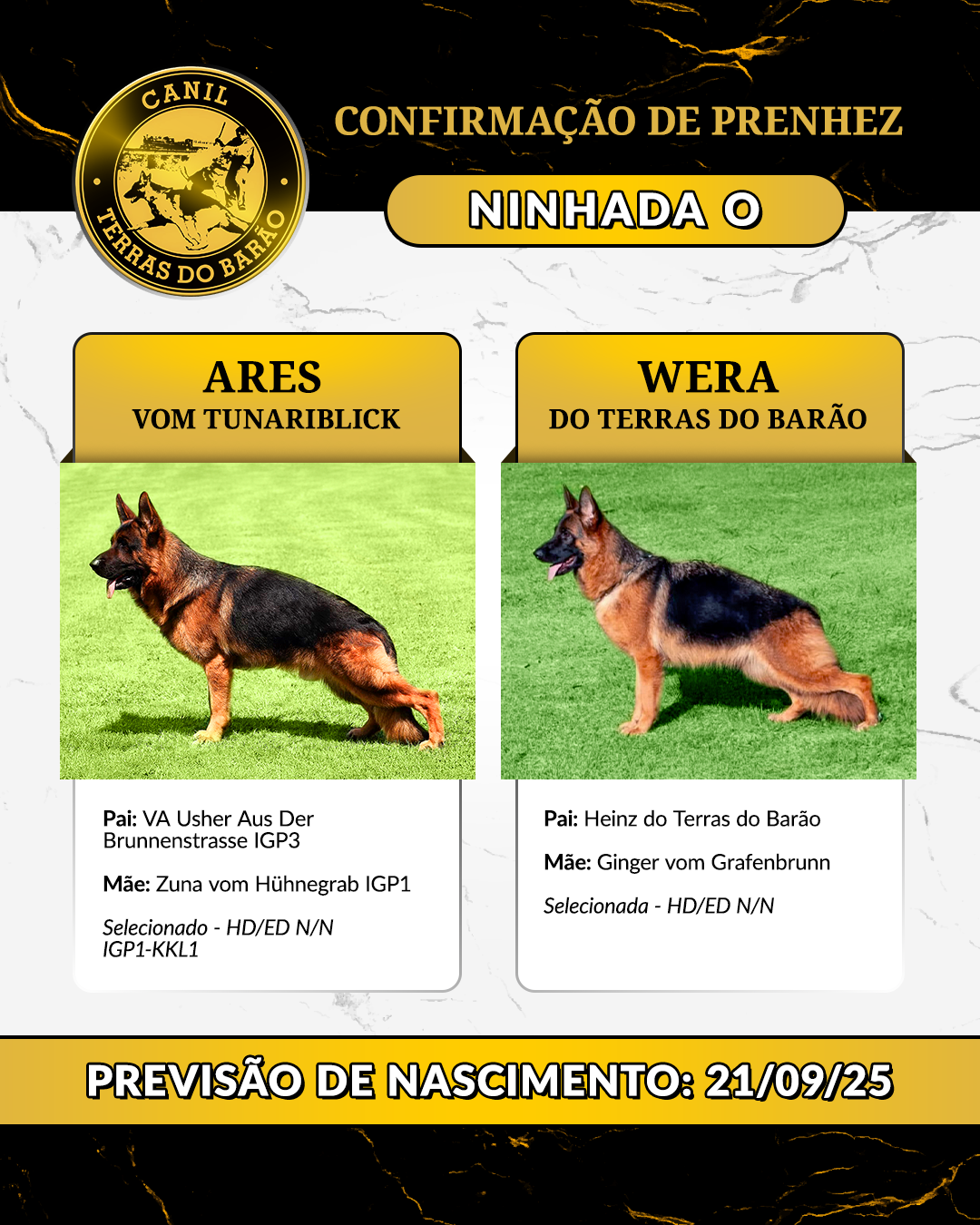 NINHADA_O.png